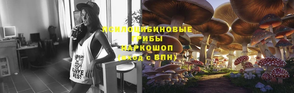 наркотики Белокуриха