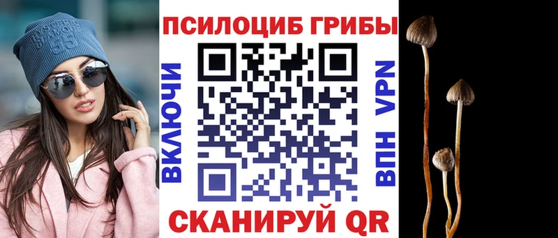 цены   Реж  Псилоцибиновые грибы мухоморы 