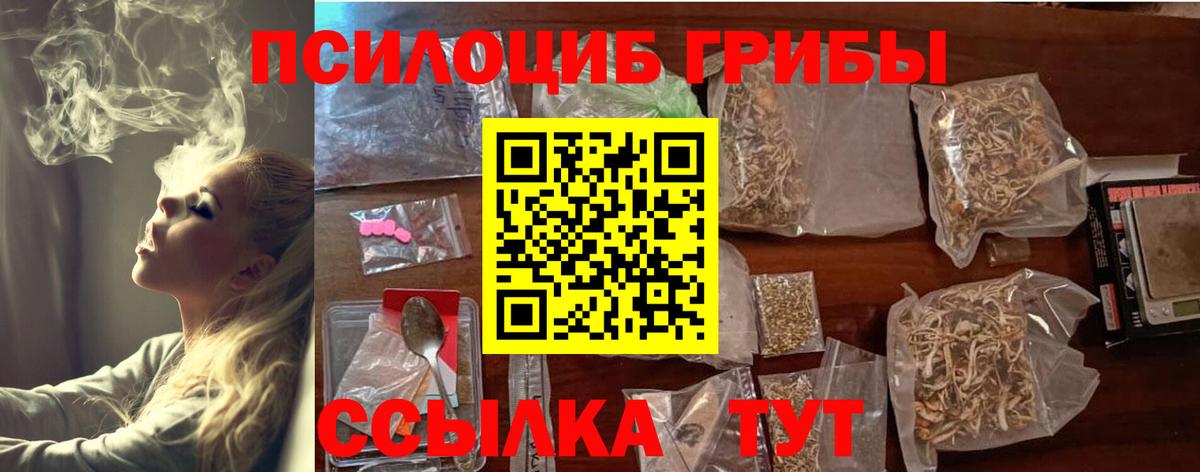 Реж  Псилоцибиновые грибы MAGIC MUSHROOMS  Вход с VPN 